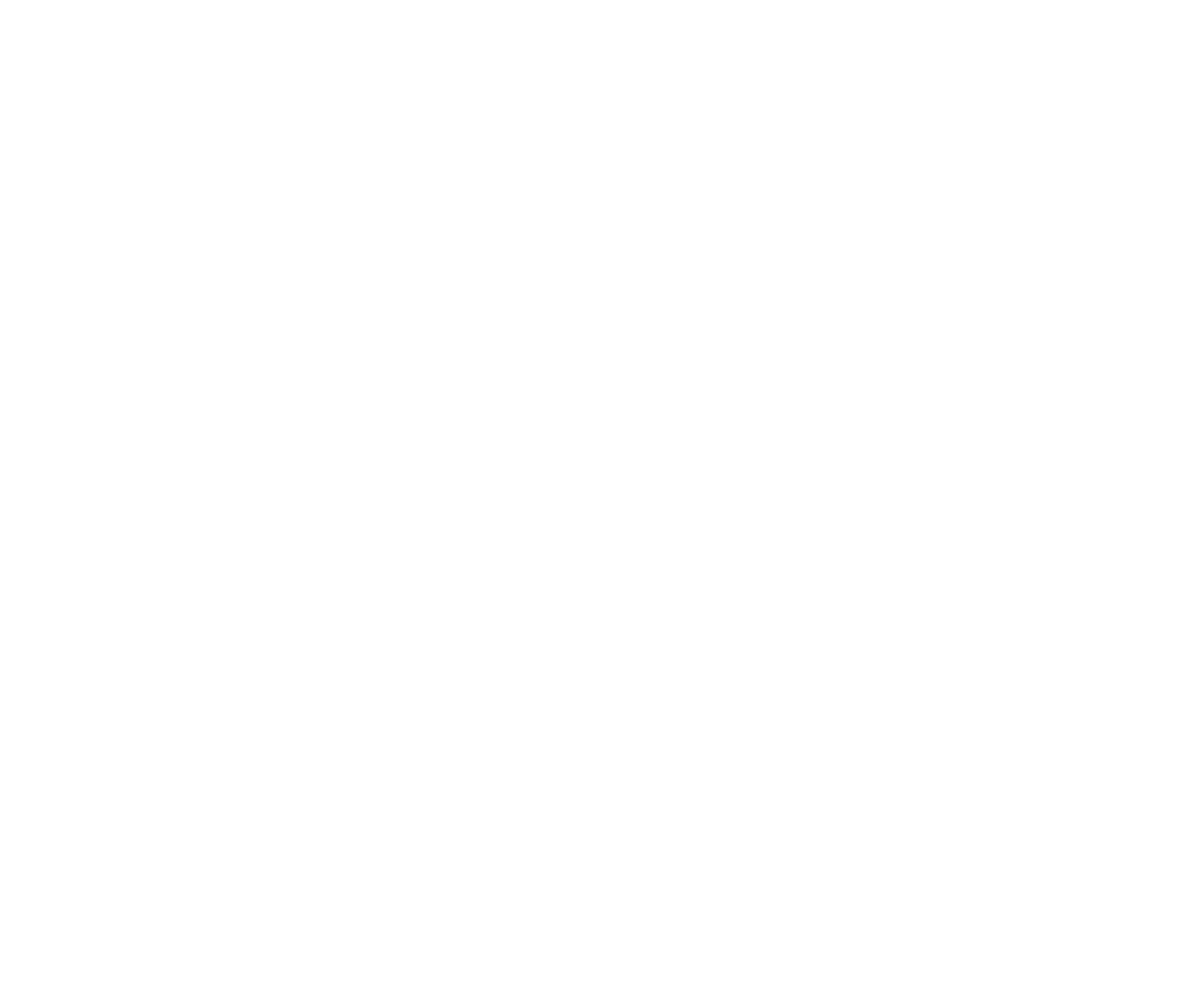 BRGS-LOGO-02 (1)